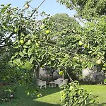 The Bungalow