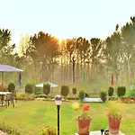 Lamzy Pari Mahal