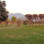 Flora Cottage , Srinagar