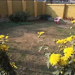 Kashmir Vibes