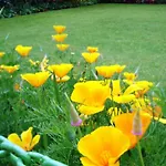 Ikraam Inn Bed & Breakfast