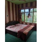 Hotel Al-Azizia, Srinagar