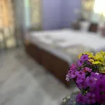 Jan Mahal