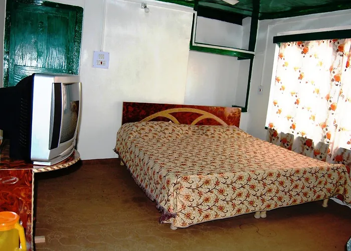 Hotel New Green View