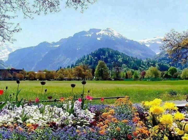Island * Srinagar (Jammu and Kashmir)