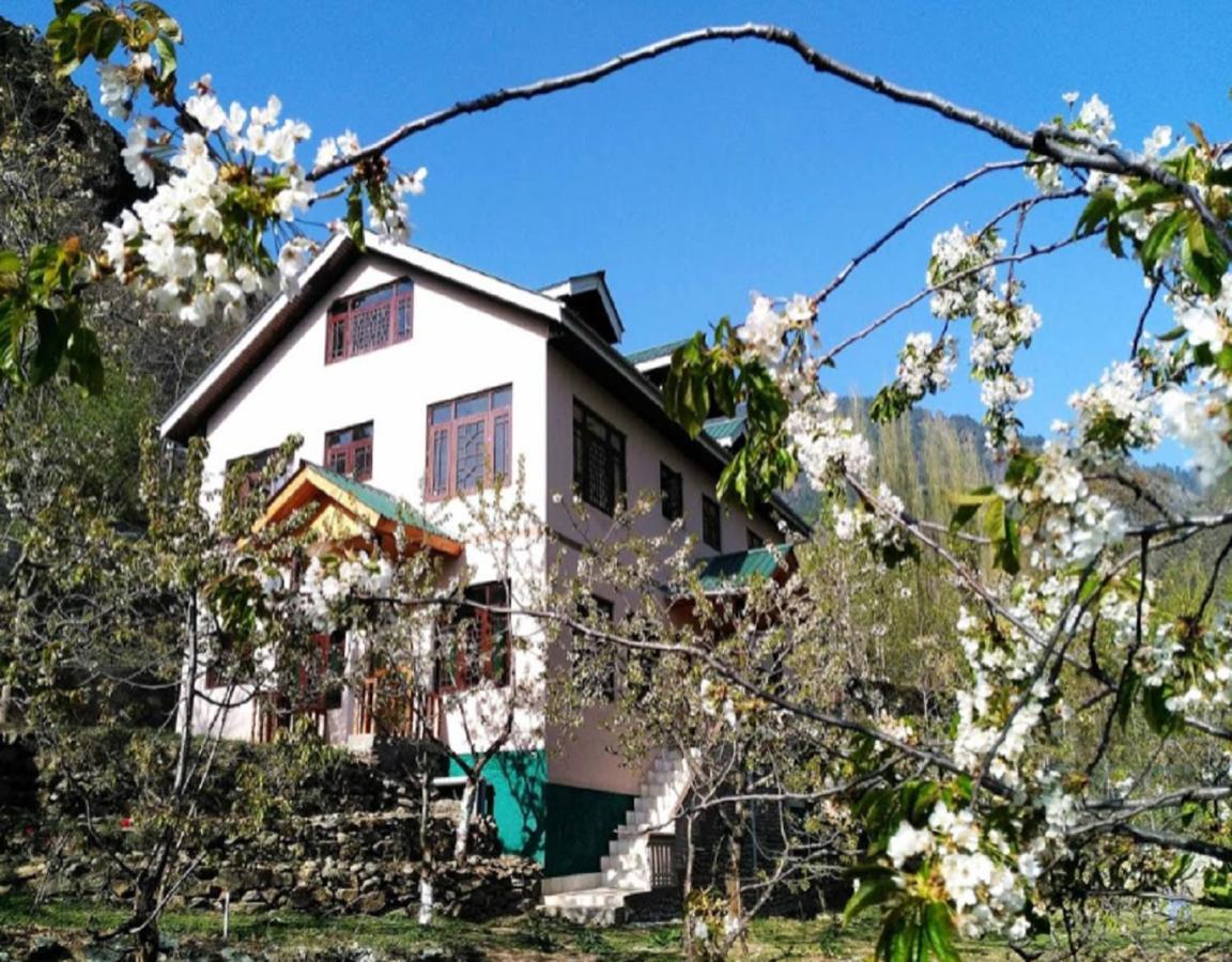 Cherrytree Homestay Srinagar (Jammu and Kashmir)
