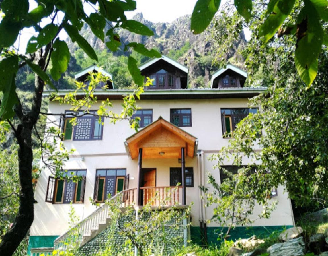 Homestay Cherrytree *