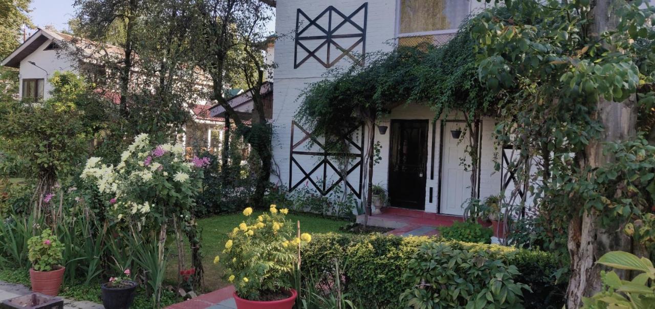 Bed & Breakfast Mahatta