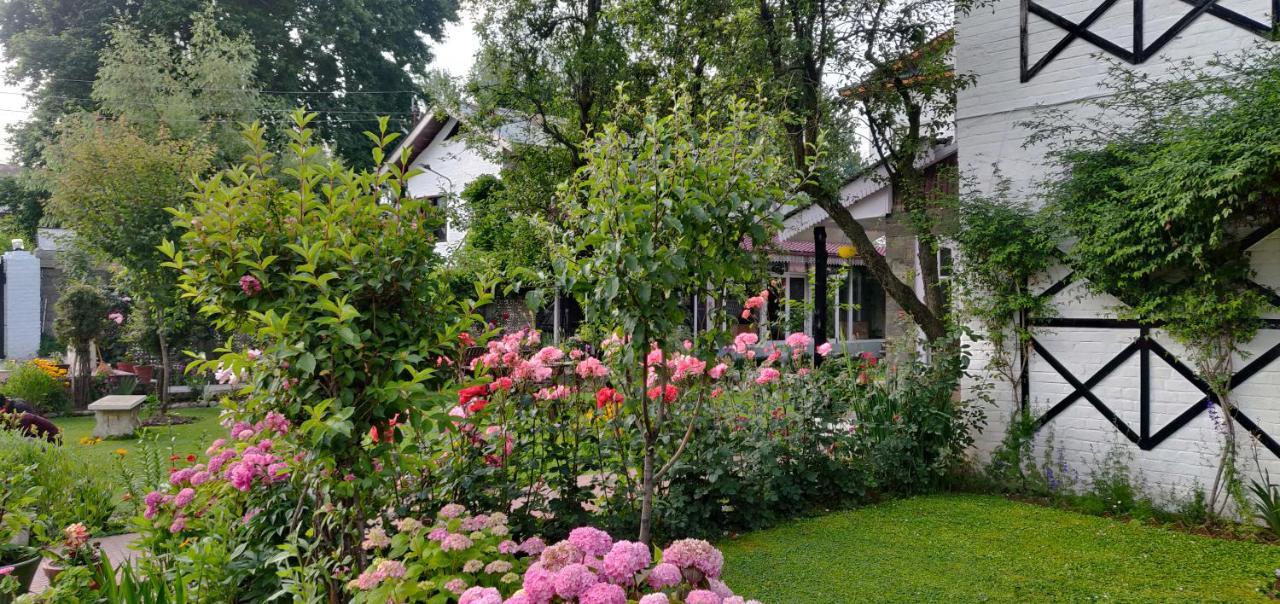 Mahatta Bed & Breakfast