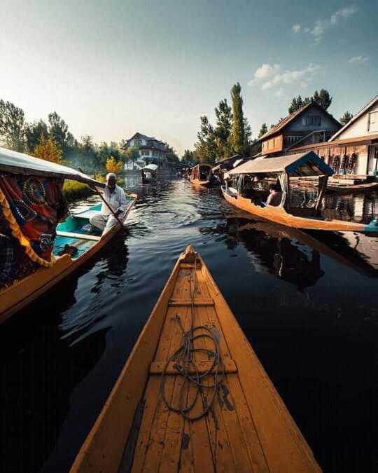 Hotel Houseboat New Jahangir And Morning Car Srinagar (Jammu and Kashmir)