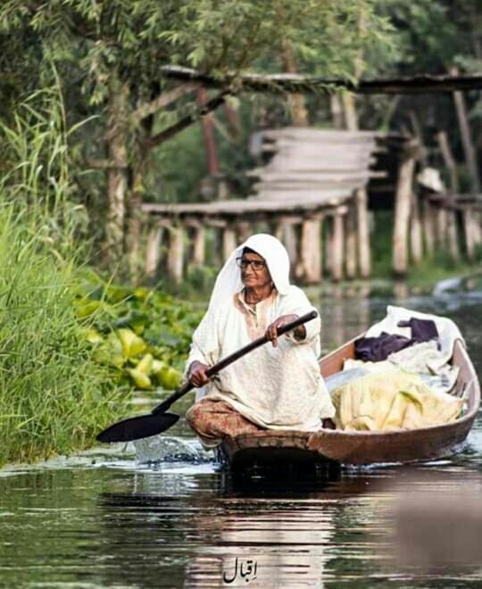 Hotel Houseboat New Jahangir And Morning Car Srinagar (Jammu and Kashmir)