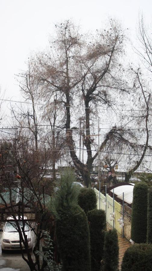Heritage Rose Inn Hotel Srinagar (Jammu and Kashmir)