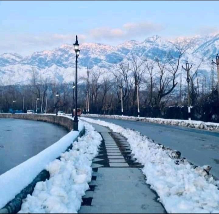 Houseboat New Jahangir And Morning Car Srinagar (Jammu and Kashmir)