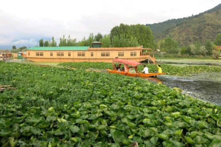 Houseboat New Jahangir And Morning Car