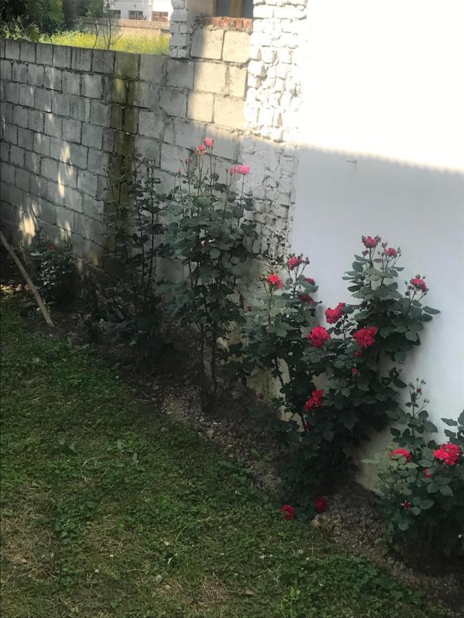 Peacock Homestay Srinagar (Jammu and Kashmir)