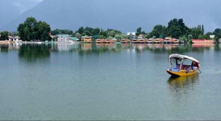 Peacock Homestay Homestay Srinagar (Jammu and Kashmir)
