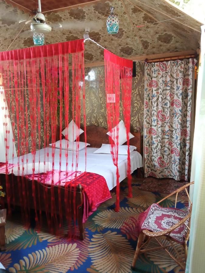 Houseboat King Of Kings