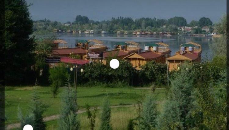 Peacock Homestay