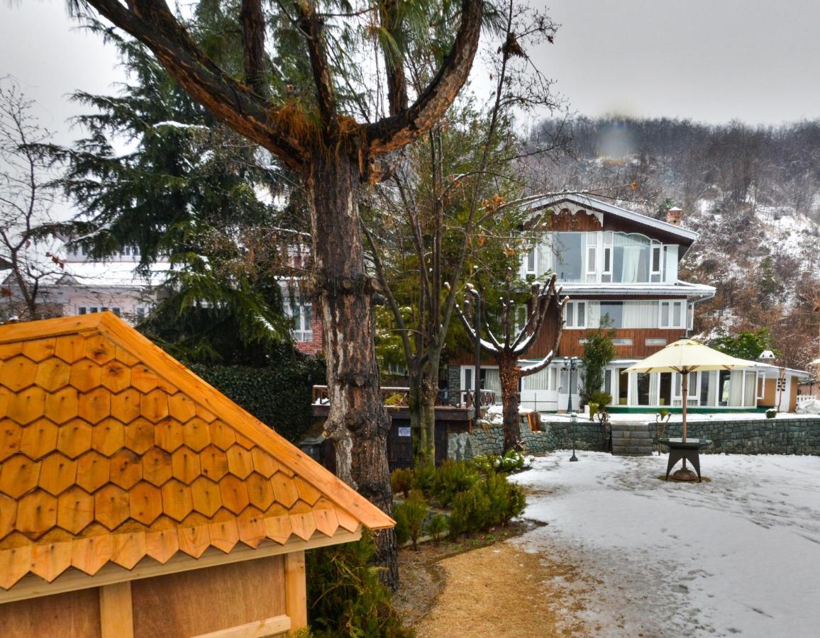 Metropolis Srinagar (Jammu and Kashmir)