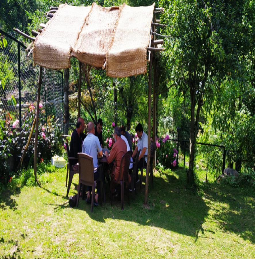 Cherrytree Srinagar (Jammu and Kashmir)