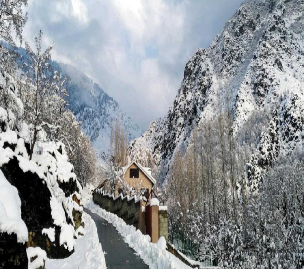 Cherrytree Srinagar (Jammu and Kashmir)