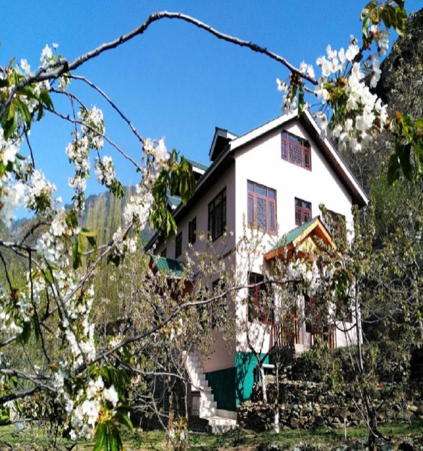 Homestay Cherrytree Srinagar (Jammu and Kashmir)