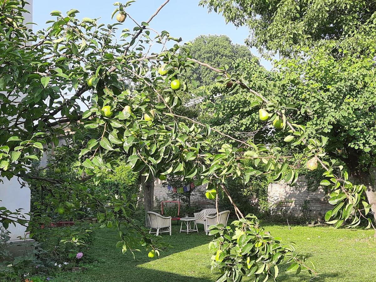 The Bungalow * Srinagar (Jammu and Kashmir)
