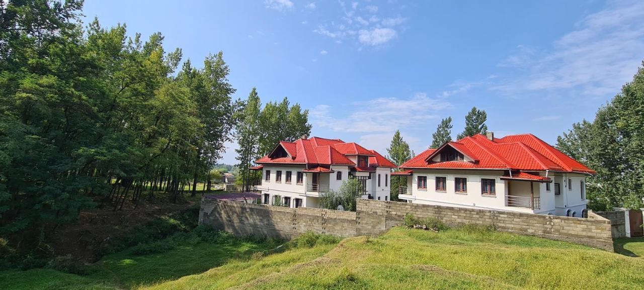Royal Mansion Guest house Srinagar (Jammu and Kashmir)