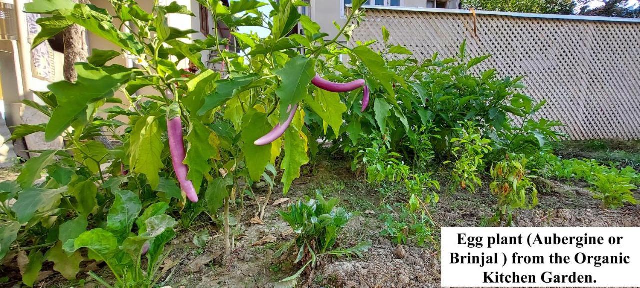 Ikraam Bed & Breakfast