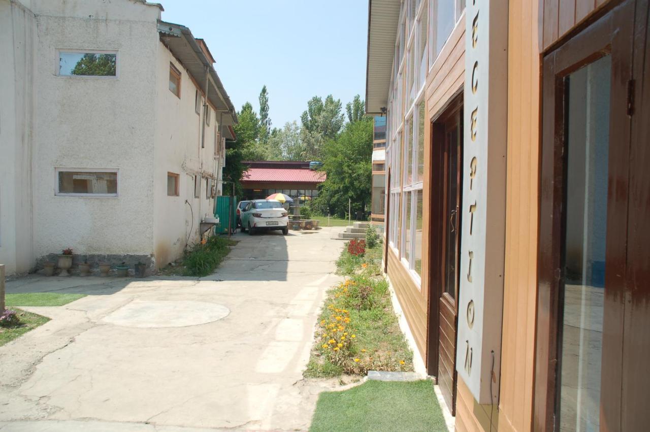 Zippino 3s3 Srinagar (Jammu and Kashmir)