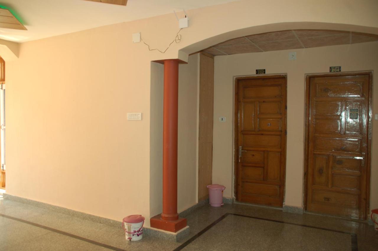 Zippino 3s3 Hotel 3*