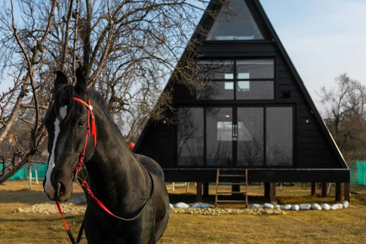 Villa Stayvista At The Loft - Pet Friendly With A-frame Structure, Interiors, Bonfire