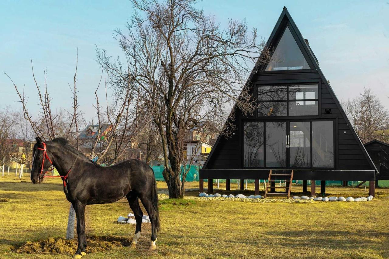 Stayvista At The Loft - Pet Friendly With A-frame Structure, Interiors, Bonfire Srinagar (Jammu and Kashmir)