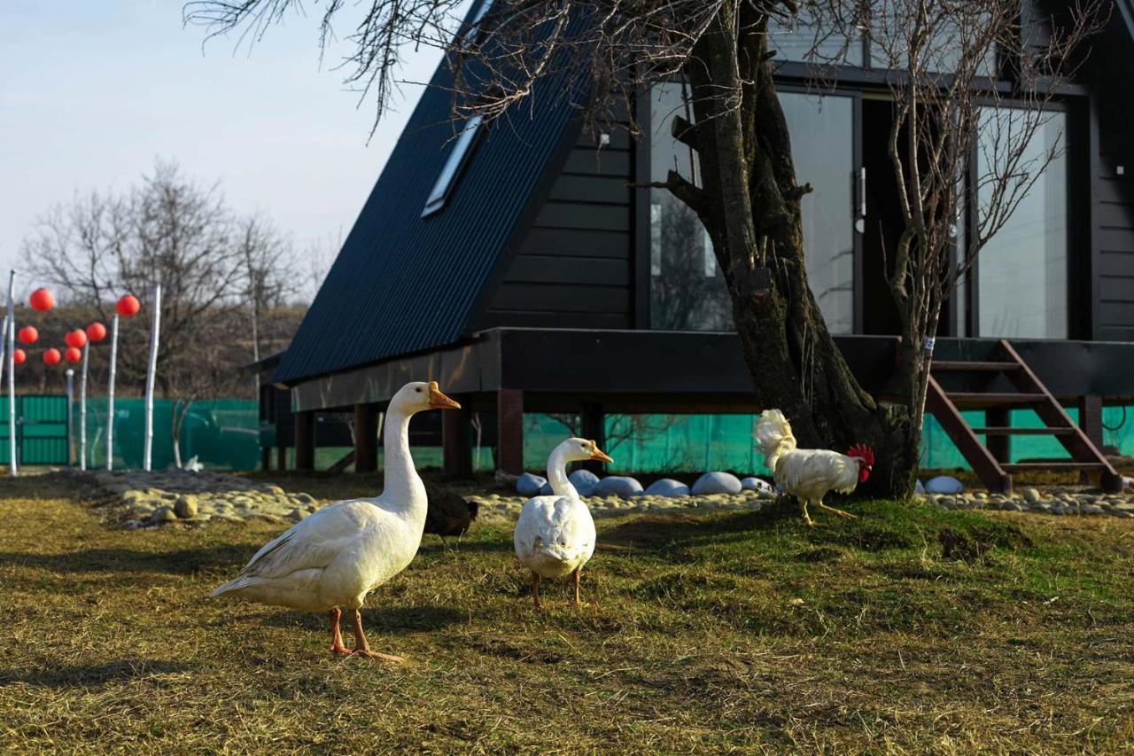 Stayvista At The Loft - Pet Friendly With A-frame Structure, Interiors, Bonfire Villa Srinagar (Jammu and Kashmir)
