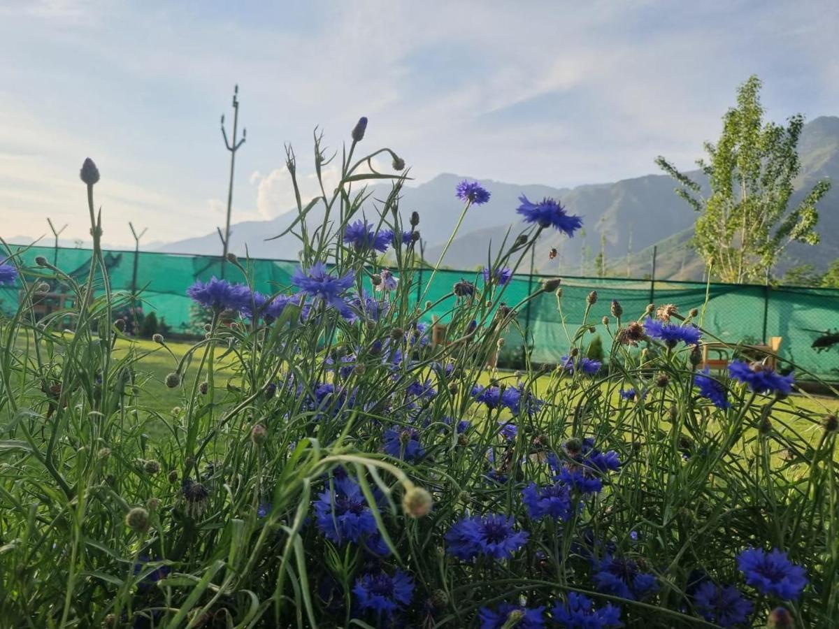Upani Guest house