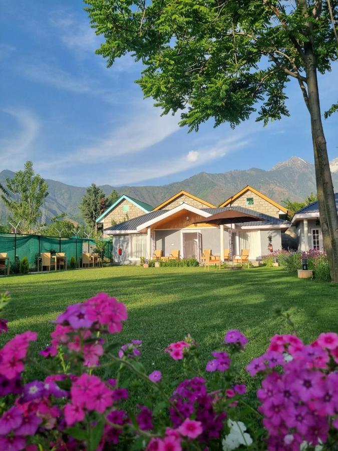 Upani Guest house