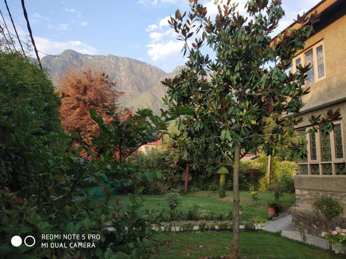 Morning Mist Homestay *
