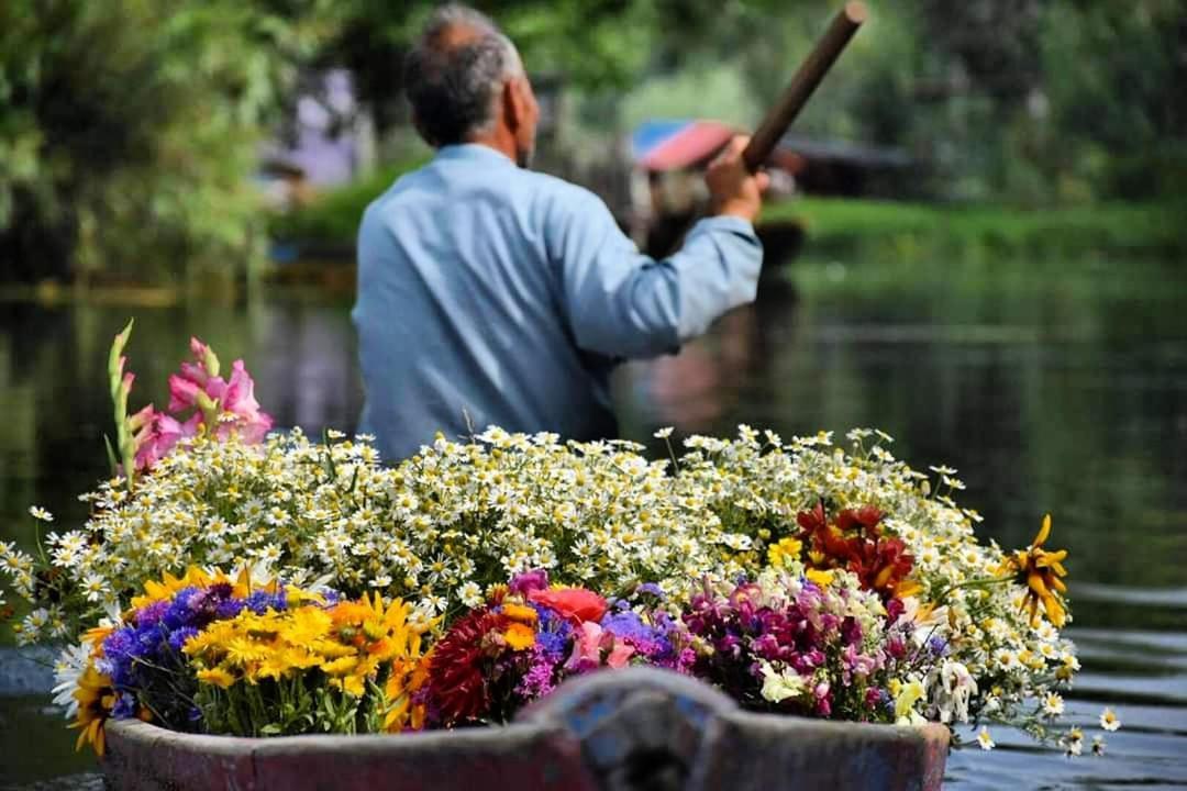 View Group Of Houseboats Srinagar (Jammu and Kashmir)