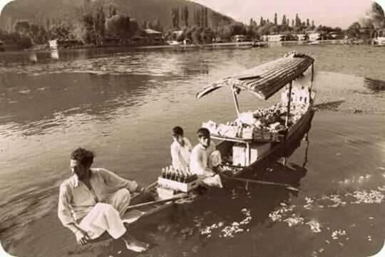 View Group Of Houseboats