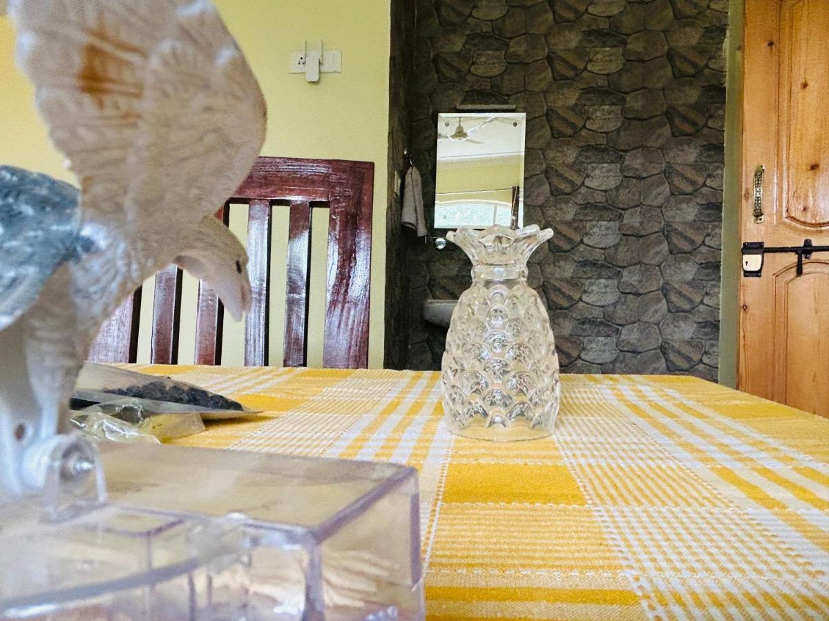 Lit Apartment Srinagar (Jammu and Kashmir)