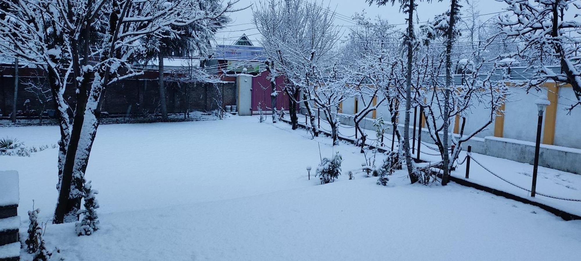 The Clover * Srinagar (Jammu and Kashmir)