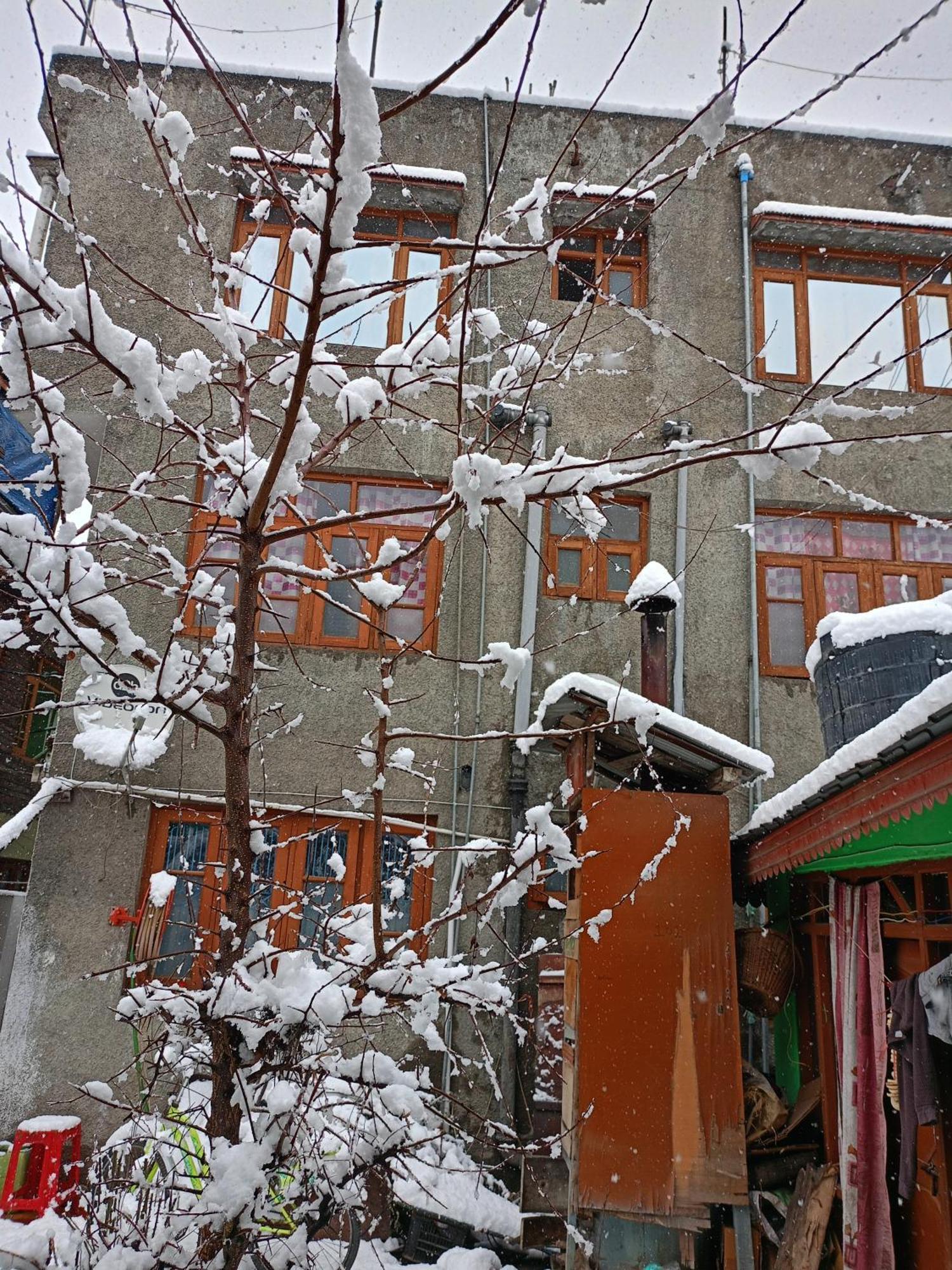 Queen Palace * Srinagar (Jammu and Kashmir)