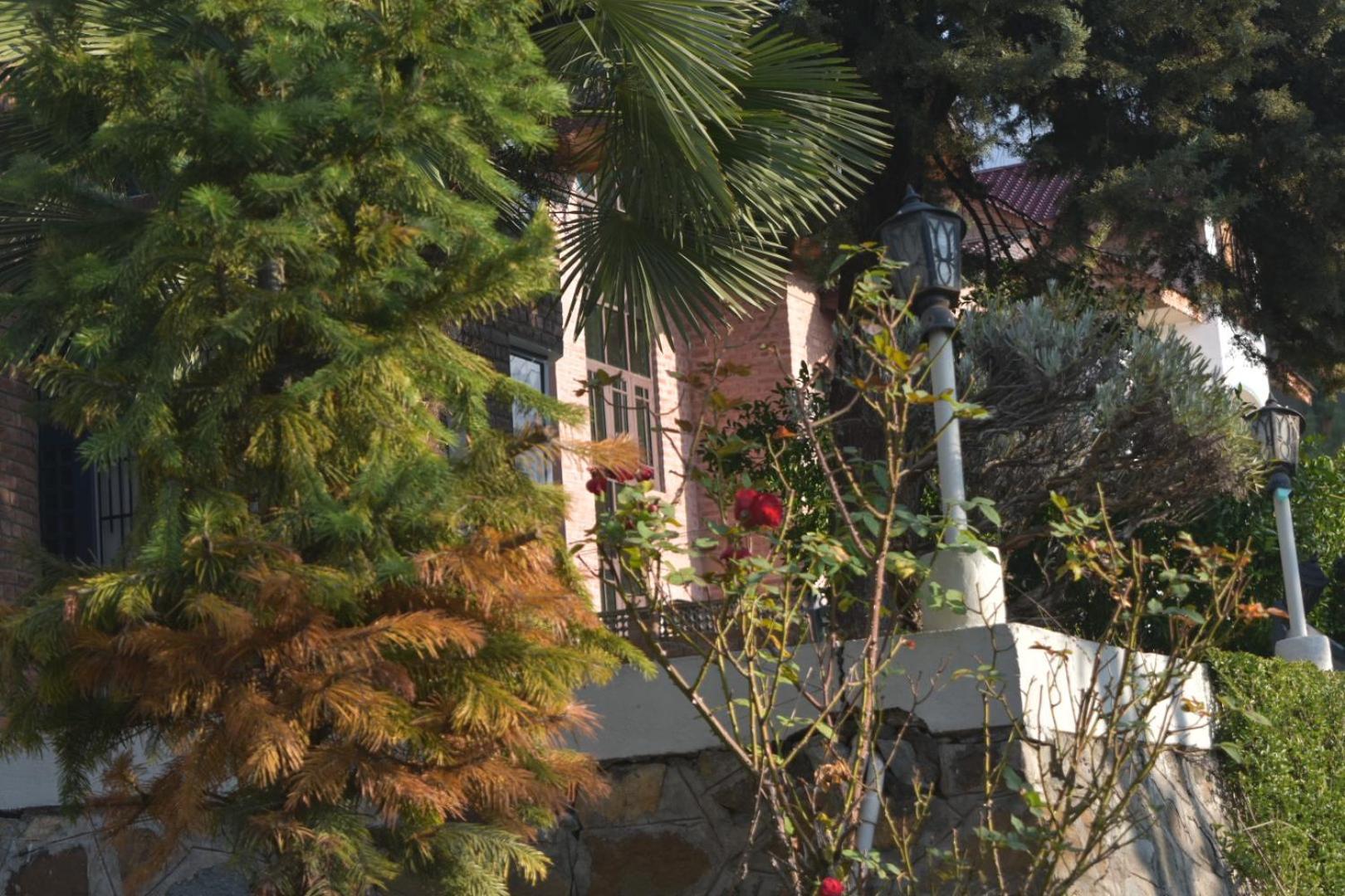 Homestay Morning Mist