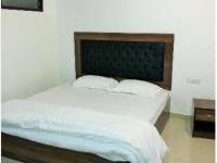 Triden Kashmir 3*