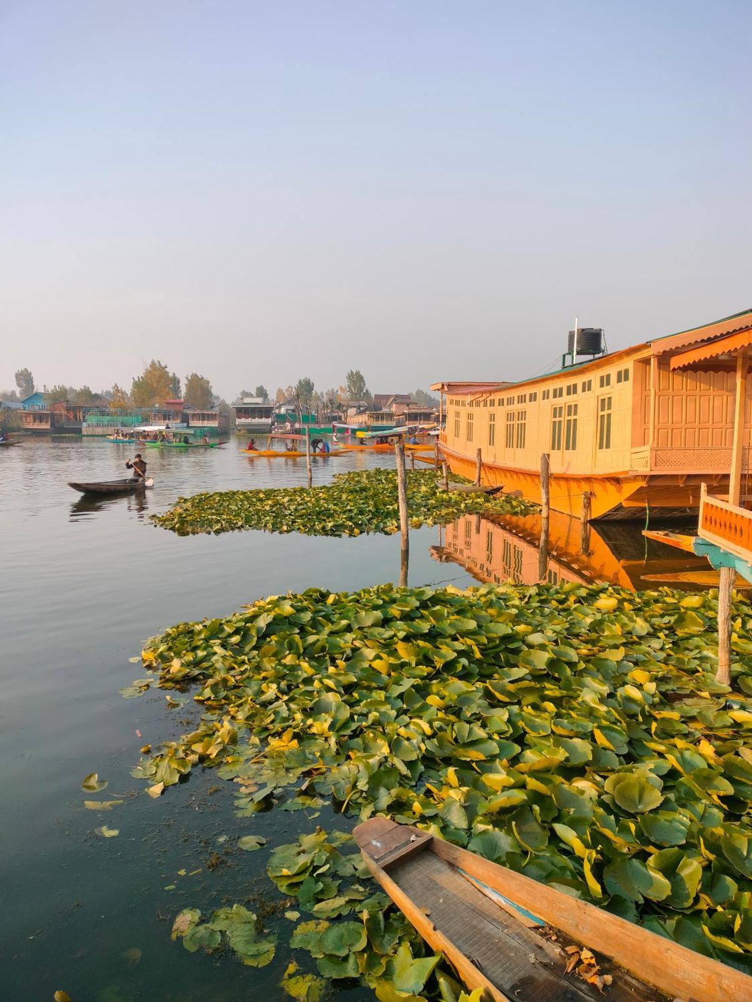 Hotel Lalarukh Group Of Houseboats