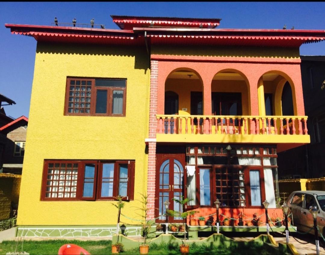 Kashmir Vibes *