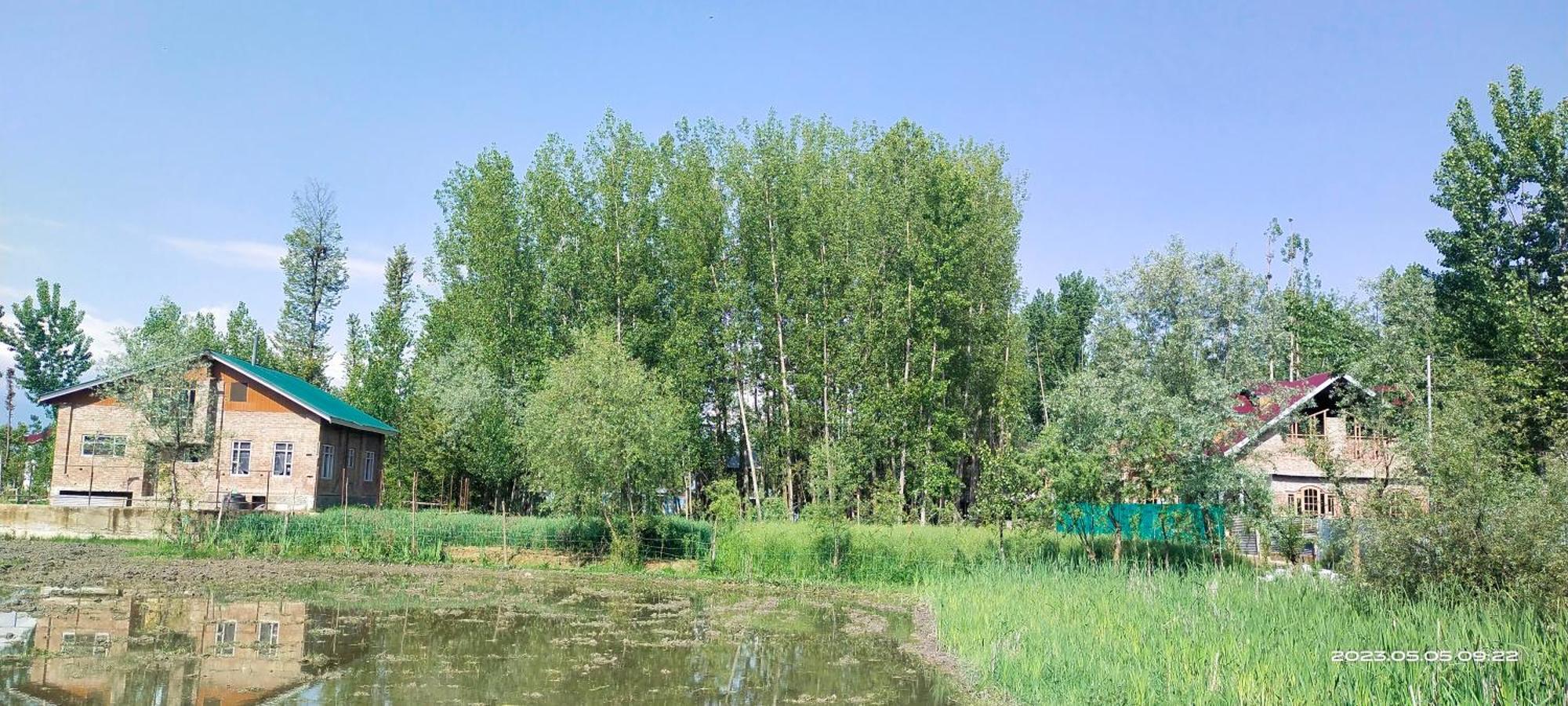 Moonlight Gulmarg Homestay *