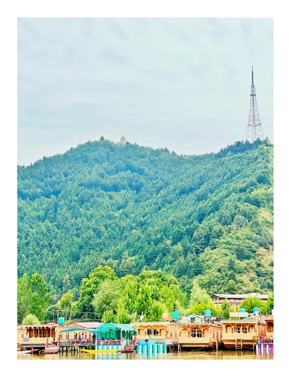 Botel Heritage Amina Group Of Houseboats Srinagar (Jammu and Kashmir)