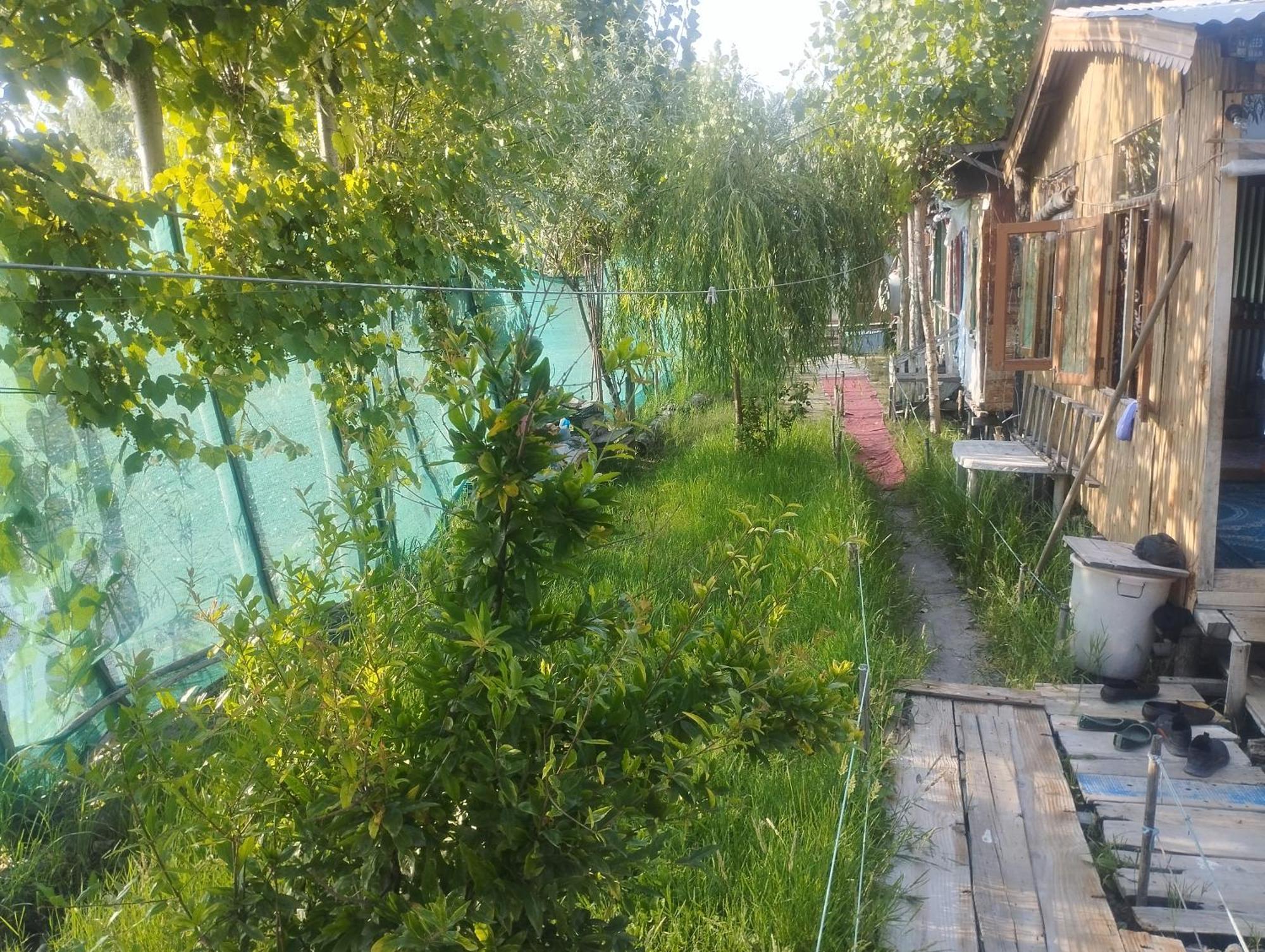 Pana 4 Boat House Homestay