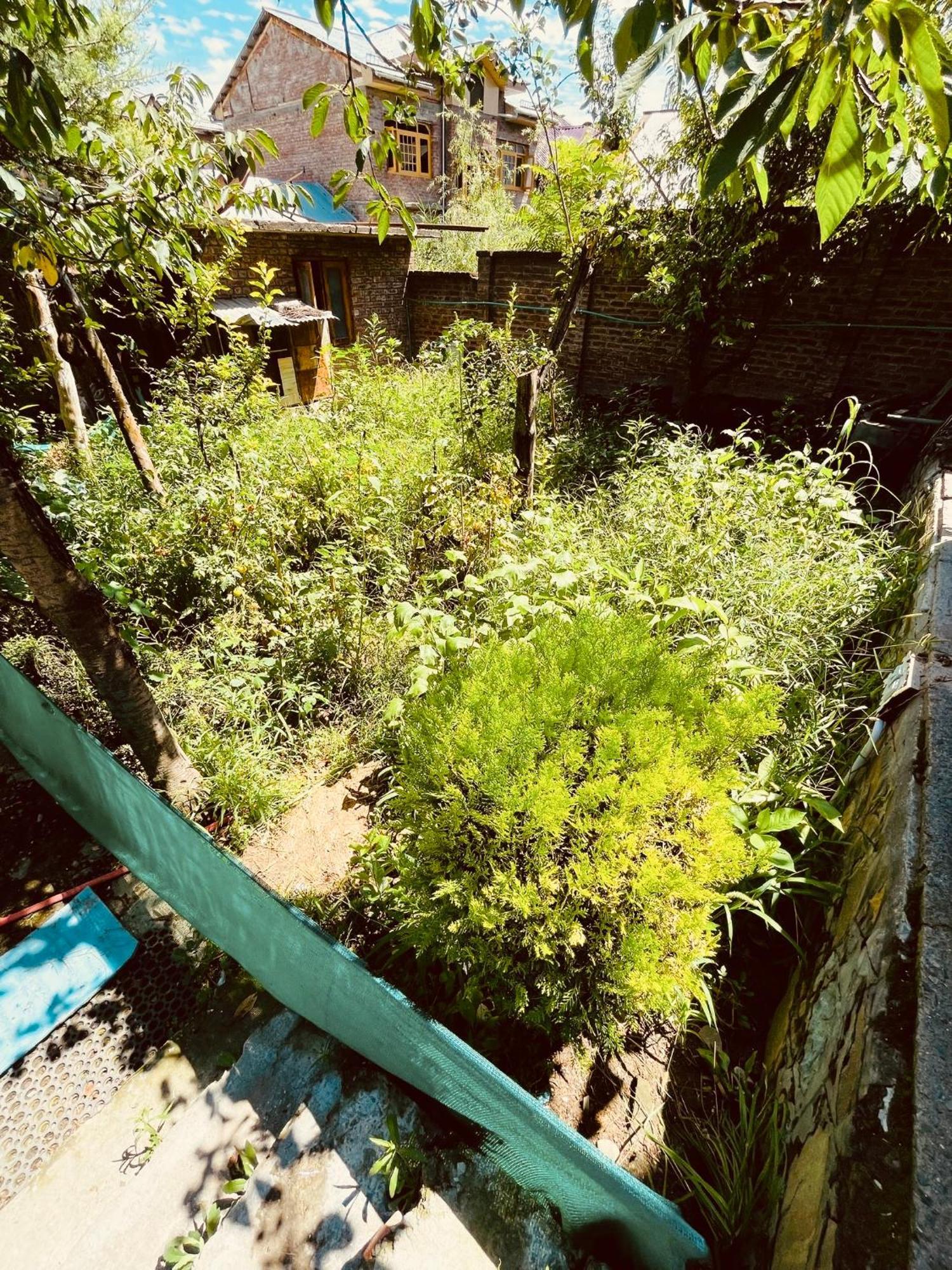 Homestay Uasia Srinagar (Jammu and Kashmir)